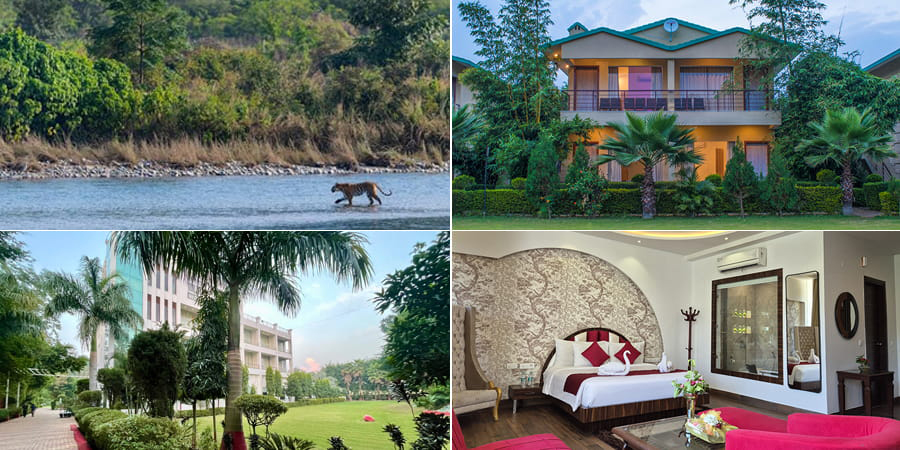 Navratri Vacation in Jim Corbett