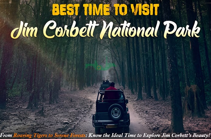 Visiting Corbett National Park in Winter