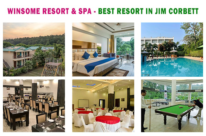 Best Resorts in Jim Corbett