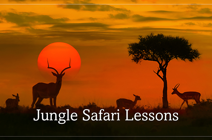 Importance of jungle safari