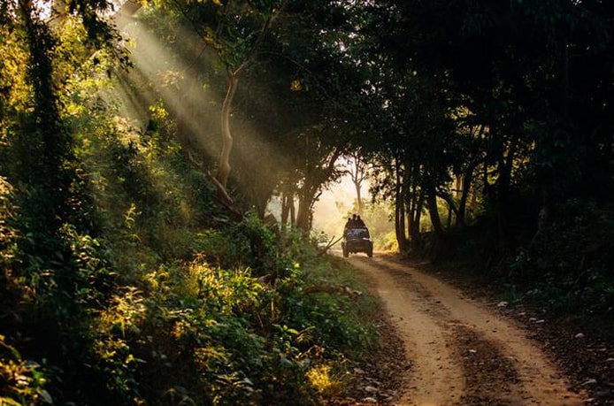 Enjoy Jungle in Jim Corbett